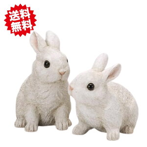 Jg[rbgAB@L 2×e1 y2Zbgz@낤@GC`c[I[ kCEEoוs