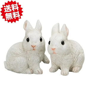 @Jg[rbg@M 2×e1 y2Zbgz@낤@GC`c[I[ kCEEoוs