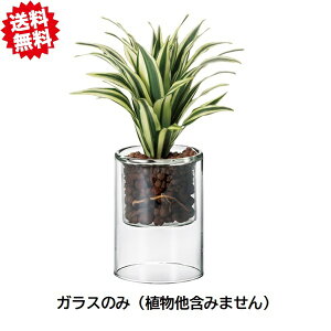  XRKXSS@6Zbg@GC`c[I[@؂ԁ@ kCEEoוs