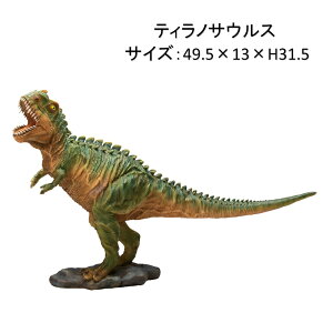 ���������@�����I�u�W�F�V���[�Y�@�e�B���m�T�E���X�@49.5×13×H31.5cm�@�u�� �f�B�X�v���[ �I�[�i�����g�@���A���@�k�C���E����E�����o�וs��