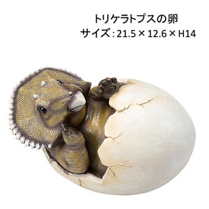 恐竜オブジェシリーズ トリケラトプスの卵 2個セット 21.5×12.6×H14cm 置物 ディスプレー オーナメント リアル 北海道・沖縄・離島出荷不可