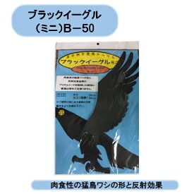 送料無料　鳥避け　ブラックイーグル　2セット　（ミニ）B−50 北海道・沖縄・離島出荷不可
