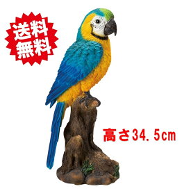 送料無料 オーム ブルー オブジェ バード 鳥 オーナメント置物 エイチツーオー 北海道・沖縄・離島出荷不可