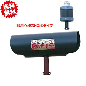 @aeNm bpS_Xg{^Cv KMN-3i\[[Ήj y󒍔̔z bQpi@bQ΍ kCEEoוs