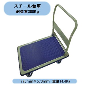 @@llVZC@X`[l֑ԁ@ω׏d300kg@܂肽ݎ@@qɍƁ@ꗣoוs