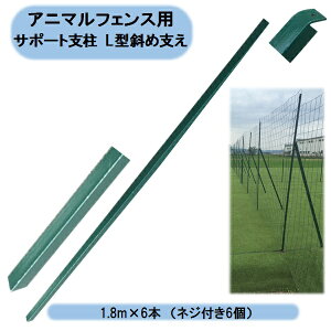 @ll @Aj}tFXiK[htFXjp@T|[gx@L^΂ߎx@1.8m×6{@ilWtj Eoוs