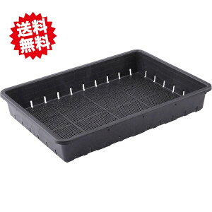 @ll@SƁ@c@51^ubN@34×1P[X@ll͂o܂I kCEEoוs