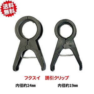 @UNbv@g^[@a24mm 2000Zbg tNXC kCEEoוs