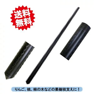 @@ll@ʎ}󂯎x@33×2100@20{@C{t@VZC@Eoוs