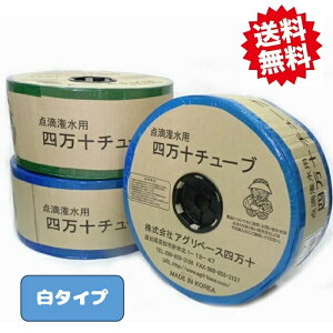 ē @ml\_H󐅃`[u @i10cmsb` / 0.25mm / 1000mj J[ij@1@kCEEoוs