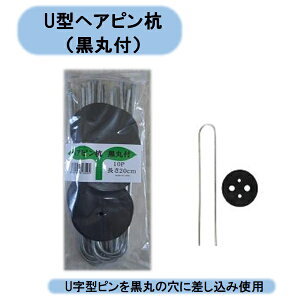 @U^wAsYiەtj20cm@10P×50܁@hV[g@sDz@}`@VZC@Eoוs