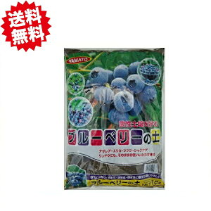 @|{yV[Y@u[x[̓y@12L×5܁@܂Ƃߔ@Aւ kCEEoוs