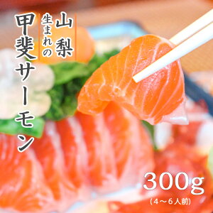 T[ Y R bT[̎hgibT[bhj300gi5`6lOj TP VP  p Mtg 蕨