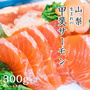 T[ Y R bT[̎hgibT[bhj300gi5`6lOj×2Zbg  TP VP  p Mtg 蕨 