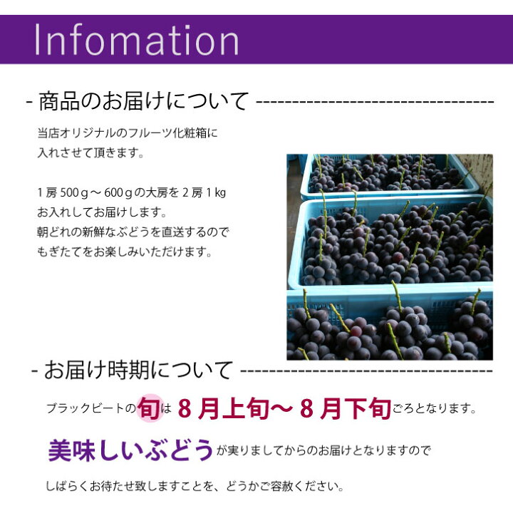 楽天市場】山梨 ブラックビート 2房 希少 化粧箱入り 藤稔 × ピオーネ 