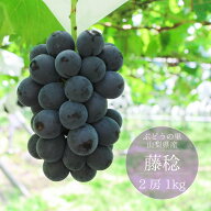 ＼スーパーSALE★10%OFF／【2026年発送】希少 『 藤稔 （ふじみのり） 』 希少 山梨 大粒 葡萄 ぶどう 高…