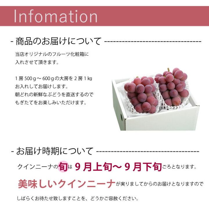 楽天市場】【送料無料】山梨県産 超希少種『クイーンニーナ』2房 化粧 