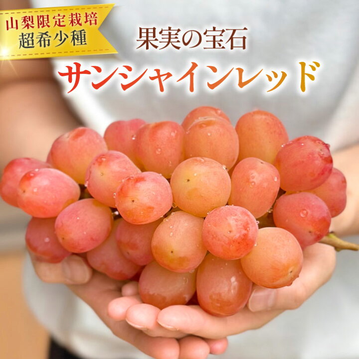 楽天市場】山梨県産 限定 栽培 超希少種『 サンシャインレッド 』1房 2 
