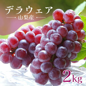 y2026NzfEFA 2kg RY uhEy7{`8{z嗱 Ȃ Ԃǂ Yn E ʕ t[c uhE