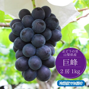  Ȃ y2026NzR s\ 2[ 1kg 2kg Mtg 8 ① ϔ   ւ̂J ʌ Ԍ y2026N8{`8{܂ŏz Ԃǂ uhE 