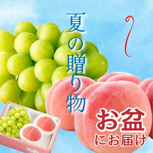 y2026NzVC}XJbg  t[cl y8{oח\z  \ 嗱 R VC Yn  t[cMtg t[c Ԃǂ Y N[ 2[ Mtg 蕨 