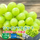 シャインマスカット 【2025年発送】 山梨 2房 1.2kg 先行予約 大粒 8月 9月 高級 ギフト 冷蔵便 化粧箱入り 贈答 自分へのご褒美 数量限定 期間限定 【2025年8月下旬頃～10月上旬頃まで順次発送】 ブドウ フルーツ 果物