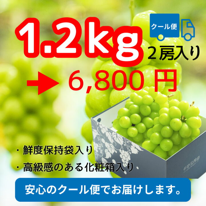 楽天市場】＼20％ポイントバック／ シャインマスカット 【2025年発送 