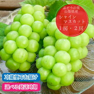 ＼スーパーSALE★10%OFF／山梨 シャインマスカット 【2026年発送】 先行予約 1房 2房 1kg 大粒 8月 9月 …