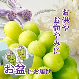 y2026NzVC}XJbg 2[ y8{oח\z    \ 嗱 R VC Yn  t[cMtg t[c Ԃǂ R Y N[ 2[ Mt