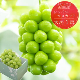 シャインマスカット 【2026年発送】 山梨 先行予約 大粒 大房 1房 約700g 8月 9月 高級 ギフト 冷蔵便 化粧箱入り 贈答 自分へのご褒美 数量限定 期間限定 【2026年8月下旬頃～10月上旬頃まで順次発送】ブドウ フルーツ 果物