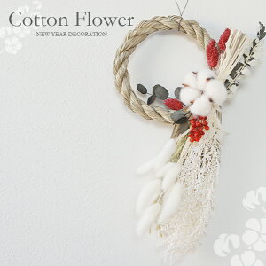  Rbgt[ ߓ [X hCt[ vU[uht[ }t  ֏ j   Mtg v[g 蕨 uU[uht[  Ǌ| C