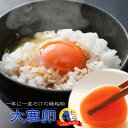 【送料無料】 一年で一度だけの縁起物!大寒卵<富士きらら>30個入り 1月20日発送予定 大寒たまご 山梨県知事賞受賞