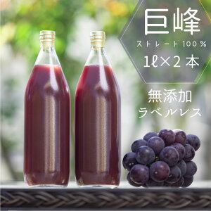 RY ԂǂW[X  100 Xg[g t[c 1000ml×2{Zbg O[vW[X W[X W[X  Ԃǂ Xg[gW[X Ε Ε Mtg xX 