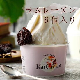 アイスクリーム ラムレーズン ギフト KaiCream 山梨県産 ぶどう 贅沢ぶどうアイス 6個入 スイーツ 詰め合わせ お中元 御中元 高級 お取り寄せ 贈答品 内祝い ギフト プレゼント