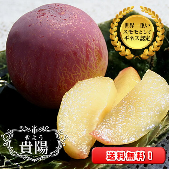 楽天市場】スモモ の王様【 貴陽 ( きよう ) 】高級フルーツ 山梨県産  