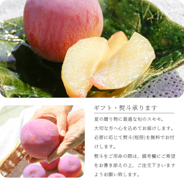 楽天市場】スモモ の王様【 貴陽 ( きよう ) 】高級フルーツ 山梨県産  