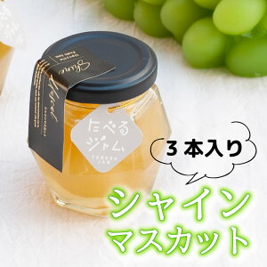 W Mtg VC}XJbg RY MtgZbg ґ Ε Y Mtg ׂW l ϔ TXeBiu t[hX GVJ i r  jam XC[c j