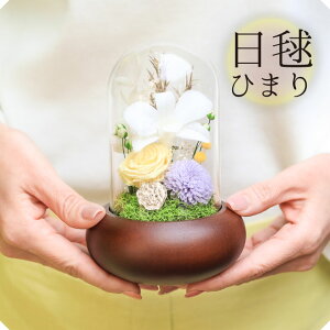 vU[uht[  y { Ђ܂ z   KXh[ Mtg  5000~ F ~j KX P[X uU[h ~j 蕨  AWg d @ 