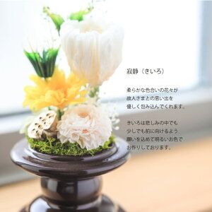 vU[uht[  y  z2Zbg   d  KXh[  Mtg  10000~ F ~j KX P[X uU[h ~j 蕨 AW