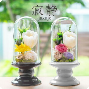 vU[uht[  yÁz  KXh[ Mtg  5000~ F ~j KX P[X uU[h ~j 蕨  AWg AWgt