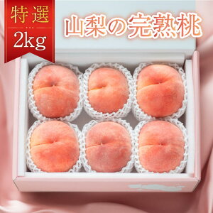  2kg Ry2026Nz s\ Mtg 7 8 ① ϔ  ݂/P/Ȃ  ւ̂J ʌ Ԍ y2026N7{`8{܂Łz t[c 