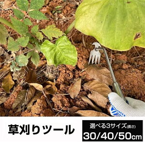 Gc[ |pi @N F 4yXeX/y/G΍/̃eiX/̑pz