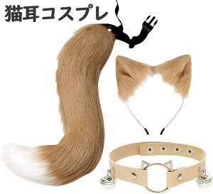 LRXv 3 _ZbgyL  50cm  ߉\z J`[V + ֕t ChEPi[ nEBENX}X p[eB[p wՃv[gK