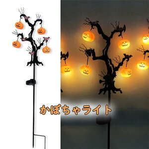 ڂ჉Cg nEB v J{`v \[[ K[fCg ߍݎ O h _  ȃGl Ɩ ~  ͋C 胉Cg