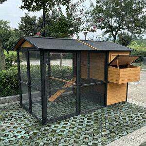 ^{Aؐ{ɁAChAtOETMAO\ȃgCƃX[vt{