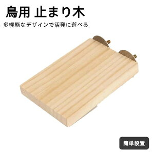 ؐ p~܂ CR  p XpCp[` xe ɊȒPt P[WANZT[