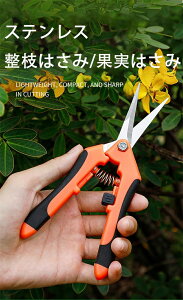 nT~ ͂ |͂ |Yf|n   | ₷  }؂؎nɓKp ~͙ Ԃ͂ ؙoT~ ʎnnT~ SbNt ̓