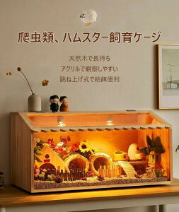 爬虫類ケージ 通気性テラリウム 大型ハムスターケージ アクリル小動物ケージ快適な爬虫類テラリウム トカゲ ヤモリ ハムスター チンチラ ハリネズミ 特大 通気性木製 飼育ケージ 透明なビ