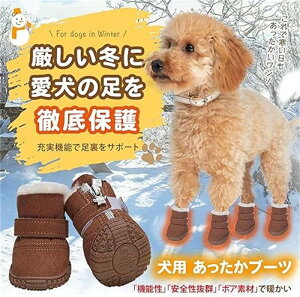 pu[c ̌C u[c  C C 4 ۉ ~p g [gu[c