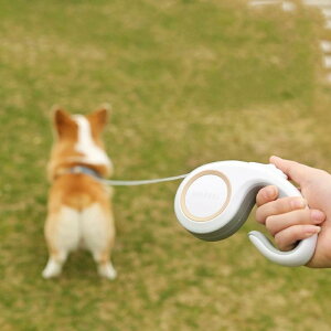 犬 伸縮リード自動リード 犬用 3m/5m ロングリード 巻き取り式 リード おしゃれ 持ちやすい 人気 おすすめ かわいい 中型犬 大型犬 小型犬 長い頑丈 ドッグリード迷子防止 脱走防止